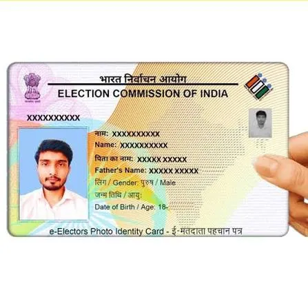 Voter ID Icon